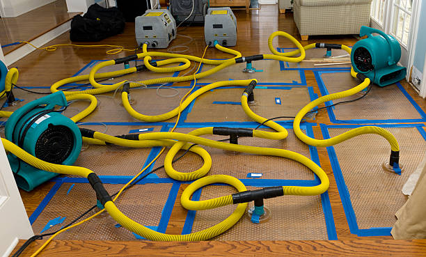 Professional Storm Water Damage Restoration technician working in Centralia, WA